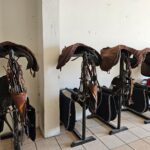 Cabezadas para caballos